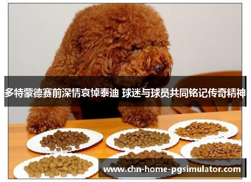 多特蒙德赛前深情哀悼泰迪 球迷与球员共同铭记传奇精神