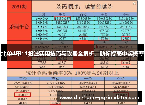 北单4串11投注实用技巧与攻略全解析,助你提高中奖概率 北单4串11投注实用技巧与攻略全解析,助你提高中奖概率