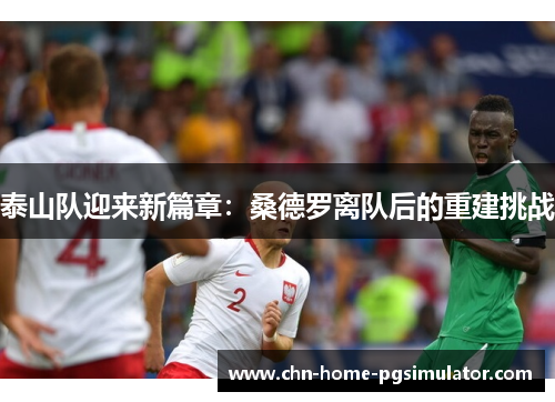 泰山队迎来新篇章:桑德罗离队后的重建挑战 泰山队迎来新篇章:桑德罗离队后的重建挑战