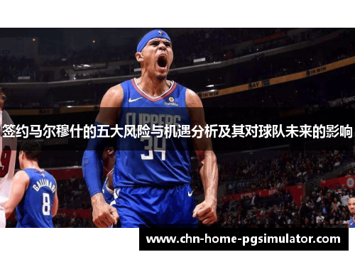 签约马尔穆什的五大风险与机遇分析及其对球队未来的影响 签约马尔穆什的五大风险与机遇分析及其对球队未来的影响