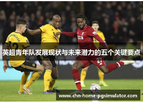 英超青年队发展现状与未来潜力的五个关键要点 英超青年队发展现状与未来潜力的五个关键要点