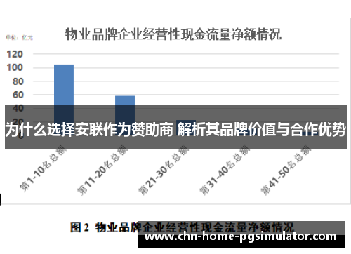 为什么选择安联作为赞助商 解析其品牌价值与合作优势 为什么选择安联作为赞助商 解析其品牌价值与合作优势