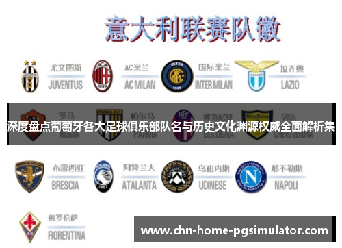 深度盘点葡萄牙各大足球俱乐部队名与历史文化渊源权威全面解析集 深度盘点葡萄牙各大足球俱乐部队名与历史文化渊源权威全面解析集