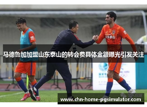 马德鲁加加盟山东泰山的转会费具体金额曝光引发关注