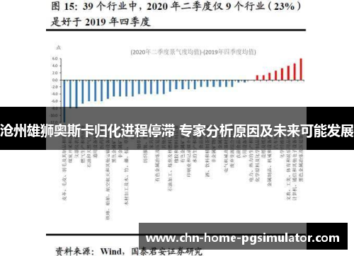 沧州雄狮奥斯卡归化进程停滞 专家分析原因及未来可能发展