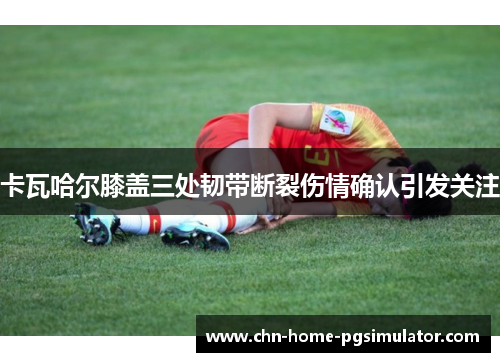 卡瓦哈尔膝盖三处韧带断裂伤情确认引发关注